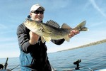 Walleye Fishing at Whitefish Lodge 2016