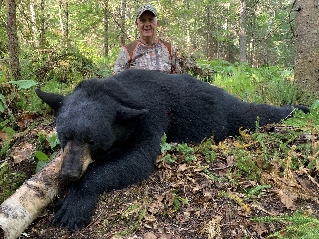 Forfaits de chasse au gros gibier au loup — Whitefish Lodge & Outpost Camps – Whitefish Lodge & Outpost Camps