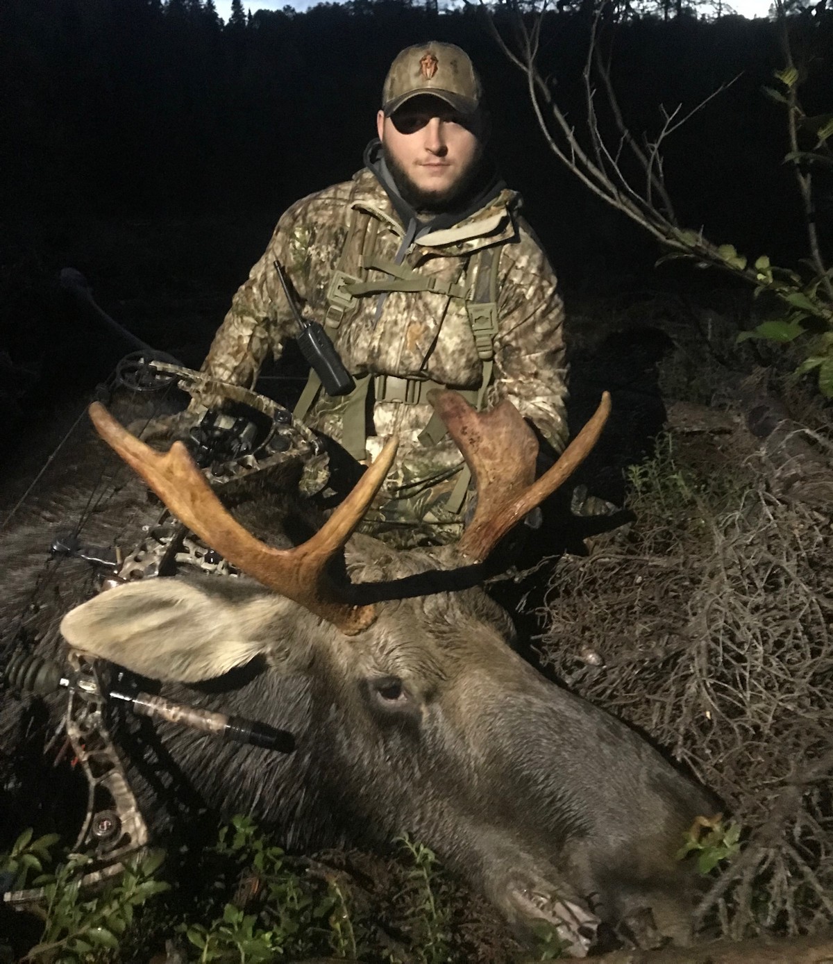 Hunt Moose at Whitefish Lodge