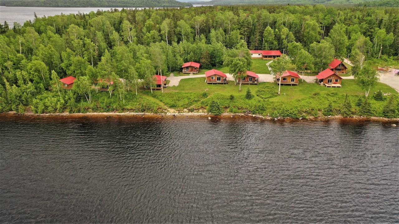 Forfaits de chasse au gros gibier au loup — Whitefish Lodge & Outpost Camps – Whitefish Lodge & Outpost Camps